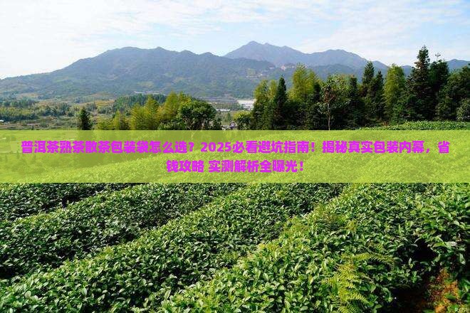 普洱茶熟茶散茶包装袋