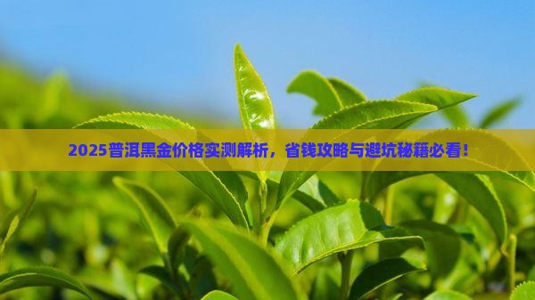 普洱黑金价格多少一克