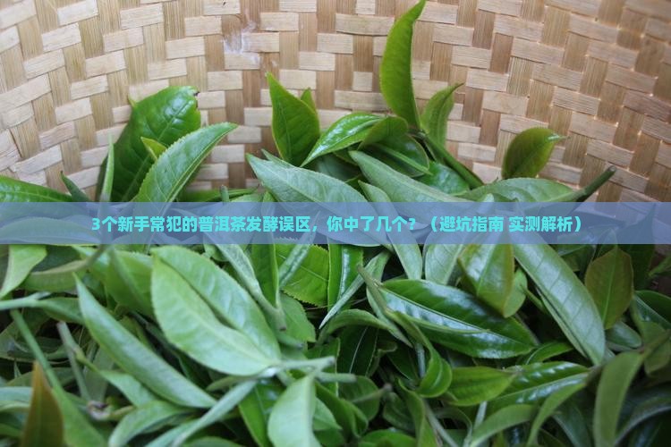 普洱茶发酵什么茶好