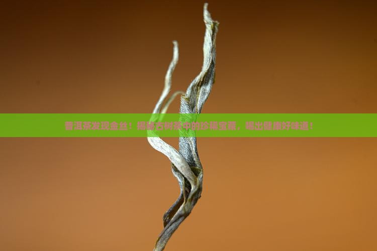 普洱茶发现金丝