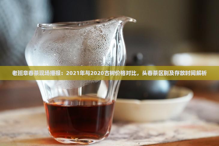 老班章春茶现场播报