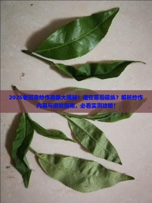 老班章是谁炒作的