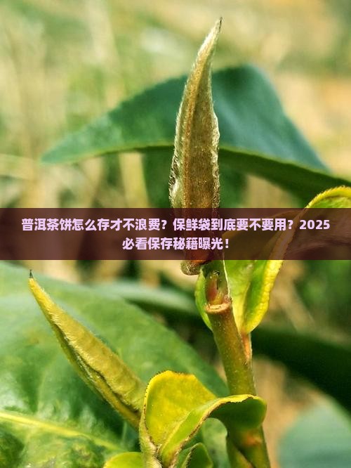 普洱茶饼需要保鲜袋保存吗