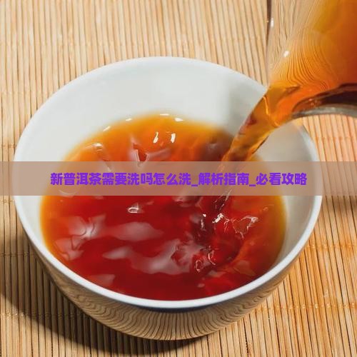新普洱茶需要洗吗怎么洗