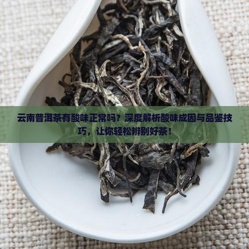 云南普洱茶有酸味正常吗