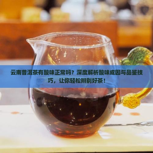 云南普洱茶有酸味正常吗