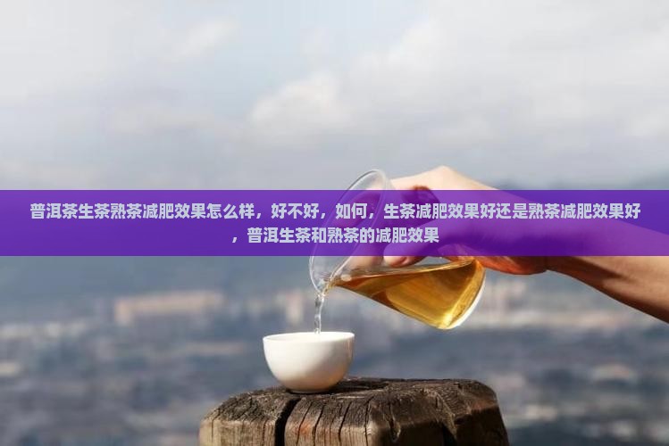 普洱茶生茶熟茶减肥效果