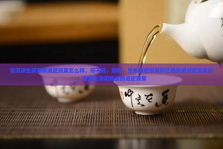 普洱茶生茶熟茶减肥效果