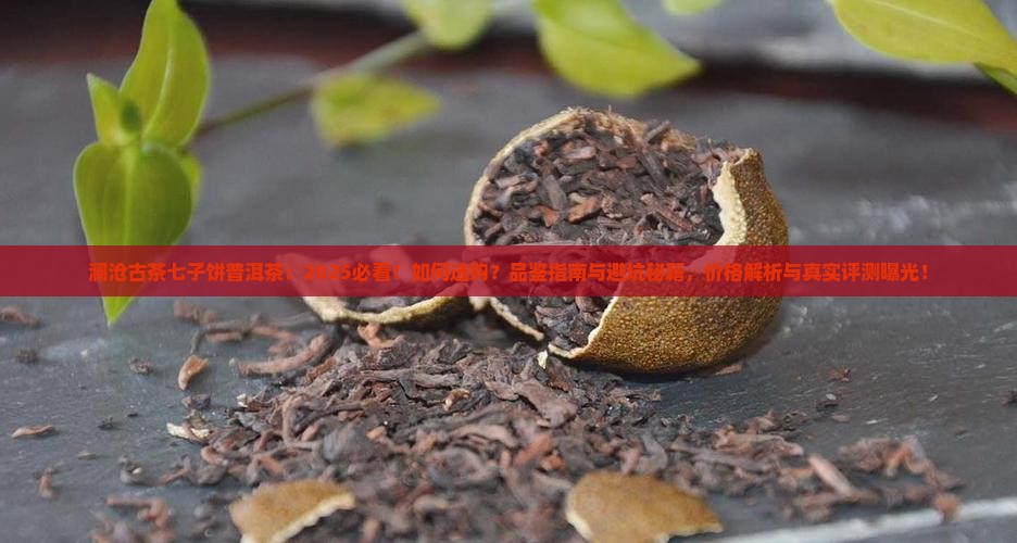 澜沧古茶七子饼普洱茶
