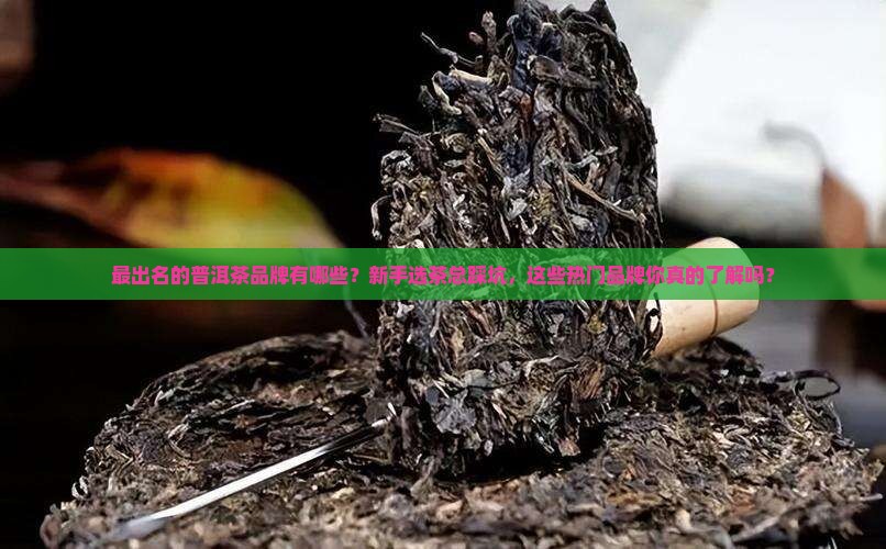 最出名的普洱茶品牌有哪些