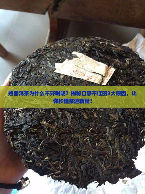 熟普洱茶为什么不好喝呢