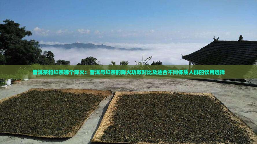 普洱茶和红茶哪个降火