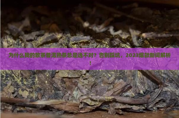 散茶普洱茶熟茶通用链接