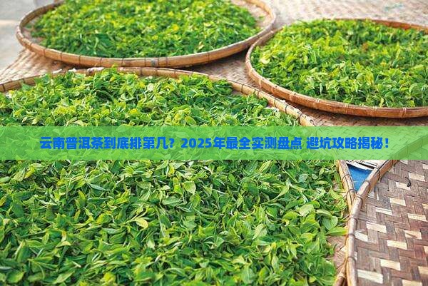 云南普洱茶排行第几了