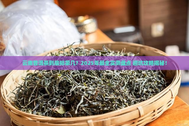 云南普洱茶排行第几了