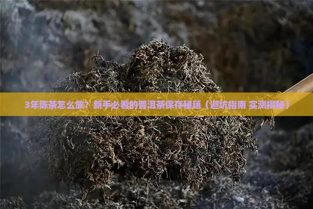 普洱茶陈茶存放