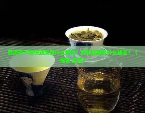 普洱茶下喉快什么意思