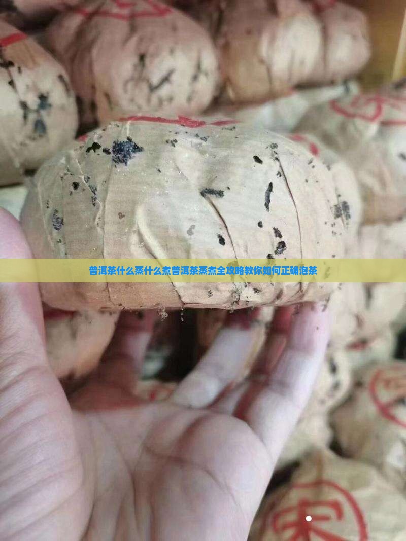 普洱茶什么蒸什么煮