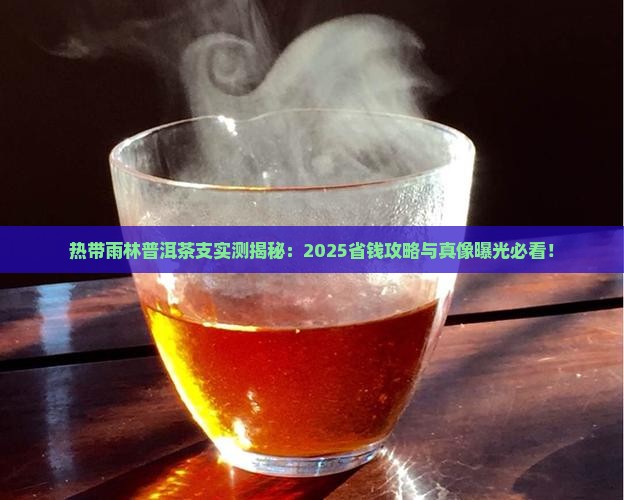 热带雨林普洱茶支