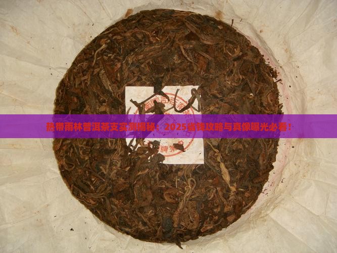 热带雨林普洱茶支