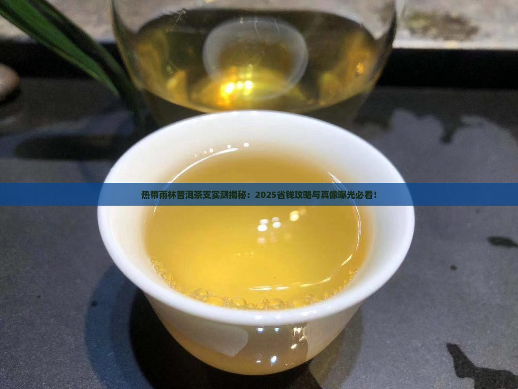 热带雨林普洱茶支