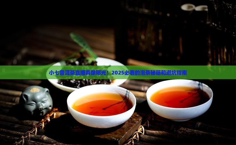 小七普洱茶直播