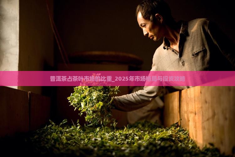 普洱茶占茶叶市场的比重