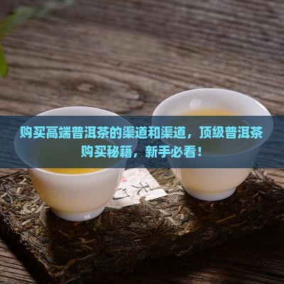 购买高端普洱茶的渠道和渠道
