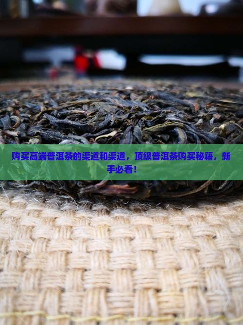 购买高端普洱茶的渠道和渠道