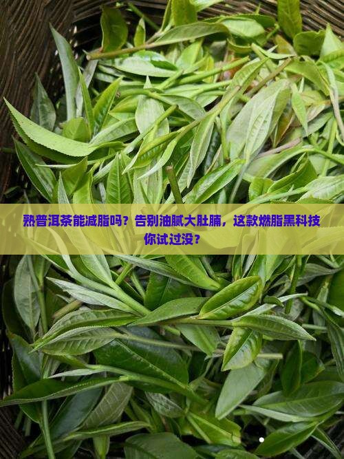 熟普洱茶能减脂吗