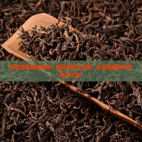 熟普洱茶能减脂吗