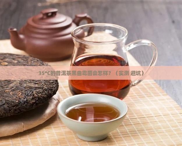 普洱茶黑曲霉菌溫度