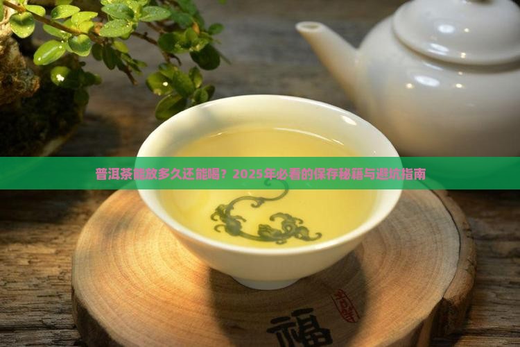 普洱茶能放多久能喝