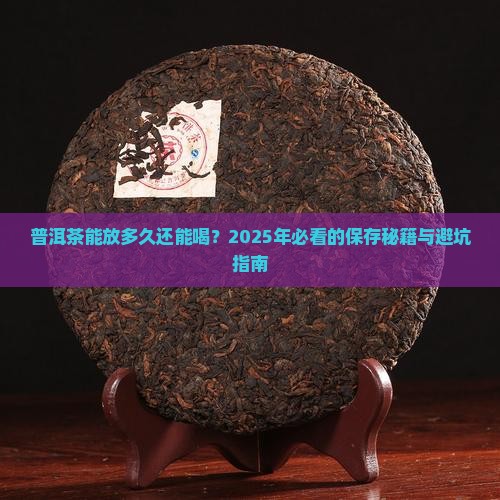 普洱茶能放多久能喝