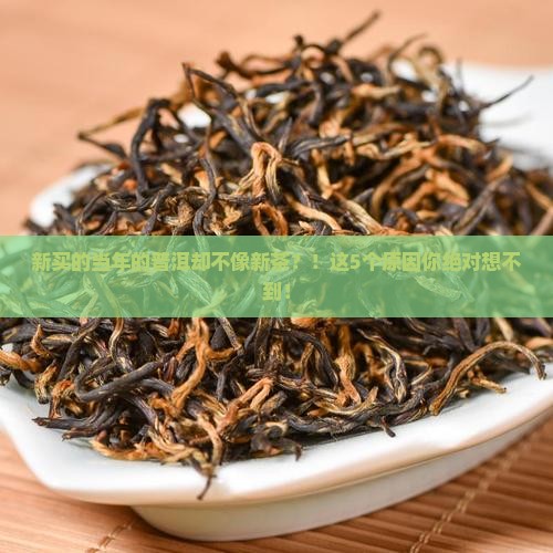 新买的当年的普洱却不像新茶