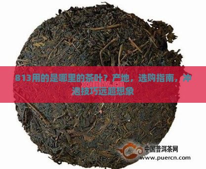 813用的是哪里的茶叶