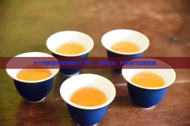 813用的是哪里的茶叶
