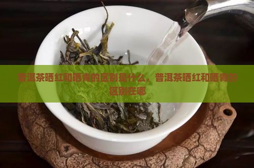 普洱茶晒红和晒青的区别