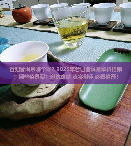 昔归普洱茶哪个品牌好