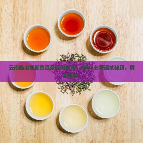 云南临沧坡脚普洱茶