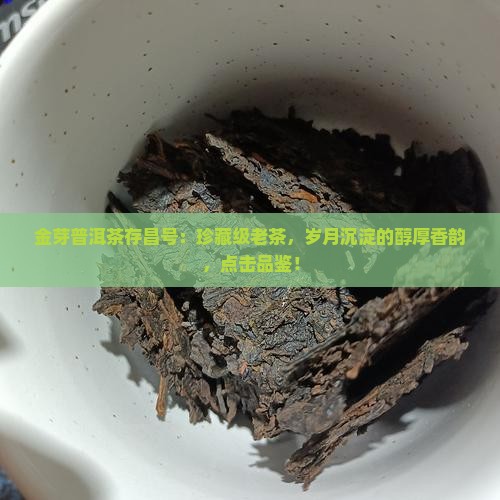 金芽普洱茶存昌号