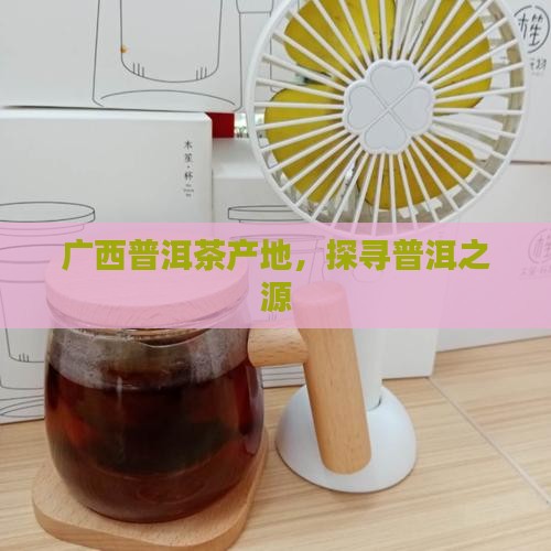 广西普洱茶产地