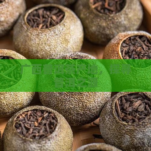 广西普洱茶产地