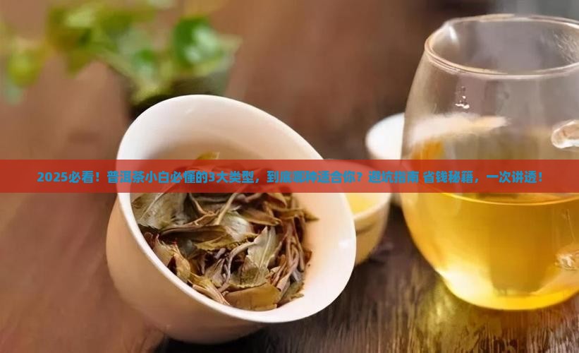 勐海普洱茶类型及特点介绍