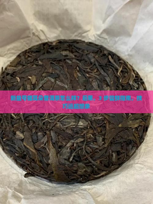 新益号猫耳朵普洱茶怎么样