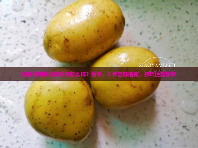 新益号猫耳朵普洱茶怎么样