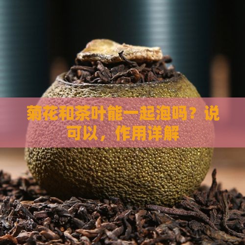 菊花能不能和茶叶一起泡吗