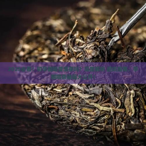 初孕能喝普洱茶