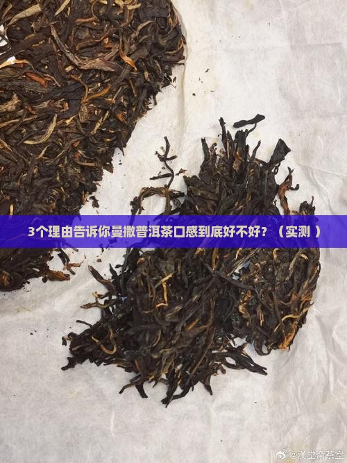 曼撒普洱茶口感怎么样啊