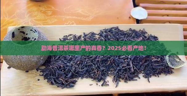 勐海普洱茶哪里产的好